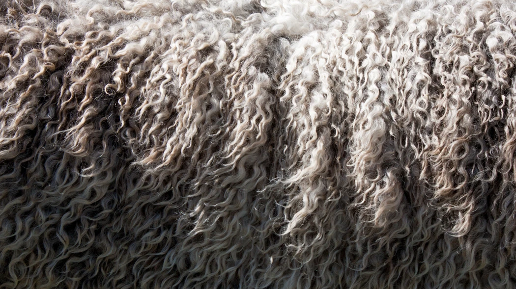 Wie reinigt und pflegt man Wollprodukte